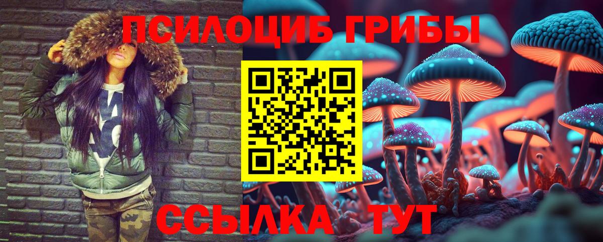 Псилоцибиновые грибы мицелий Набережные Челны